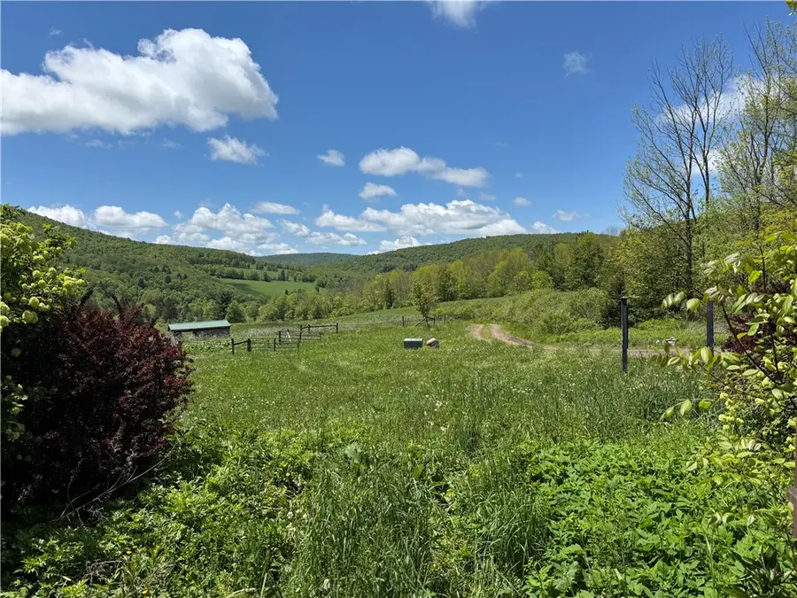 1039 Mountain Brook Road, Bovina Center, NY 13740 - #3