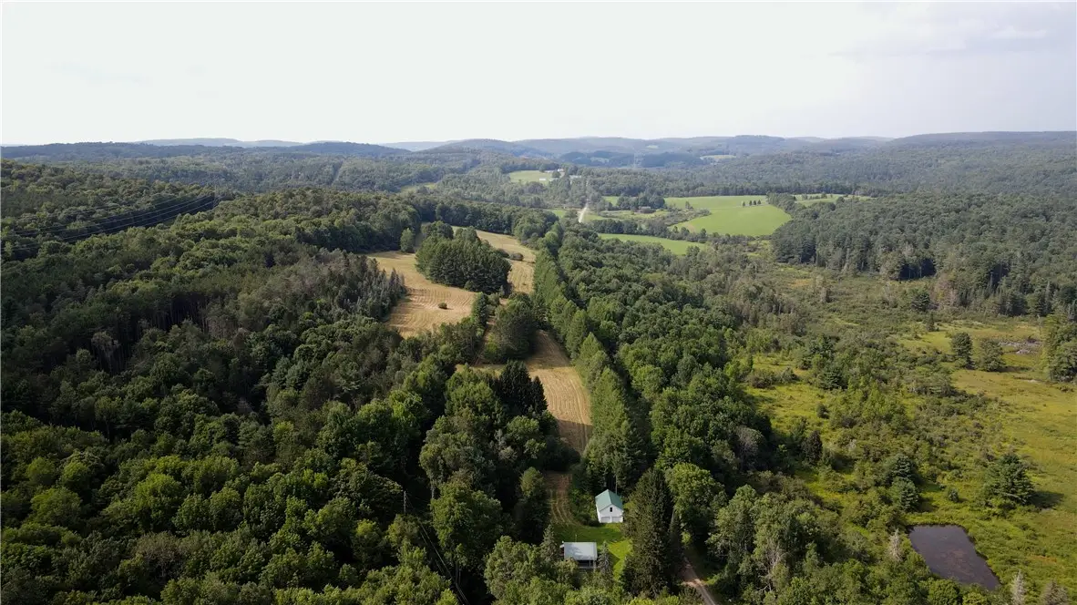 Goddards Road, New Lisbon, NY 13315 - #1