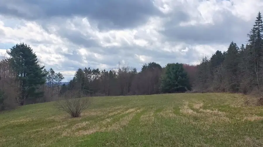 Goddards Road, New Lisbon, NY 13315 - #3