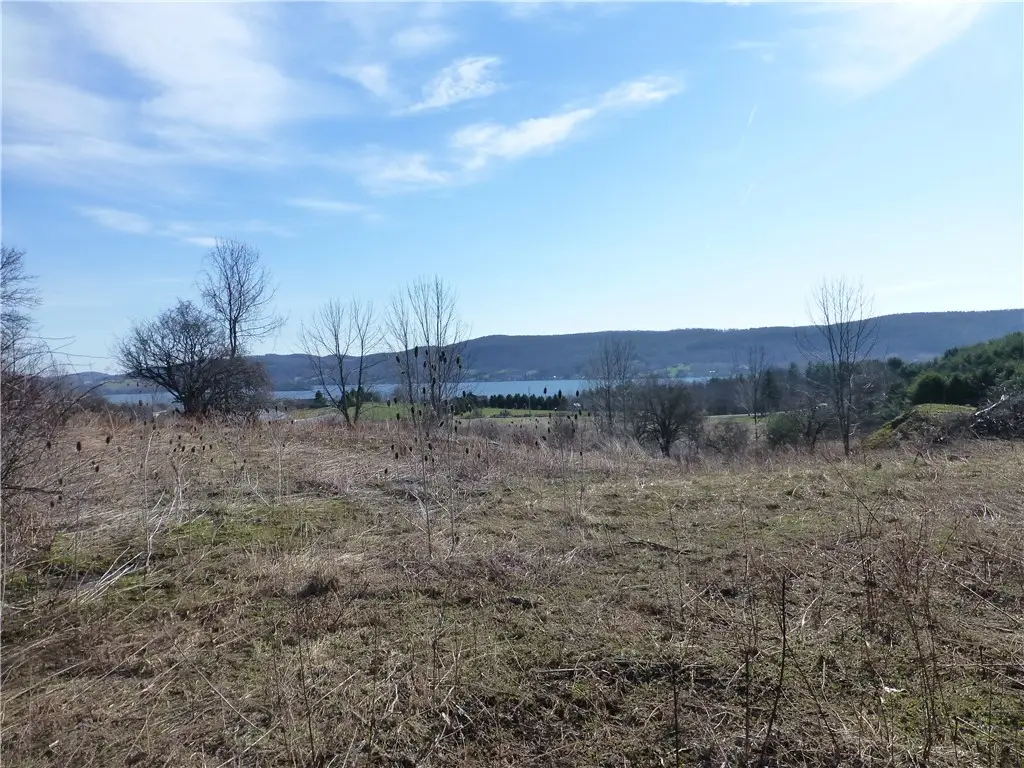 Lake View Drive, Richfield Springs, NY 13439 - #1