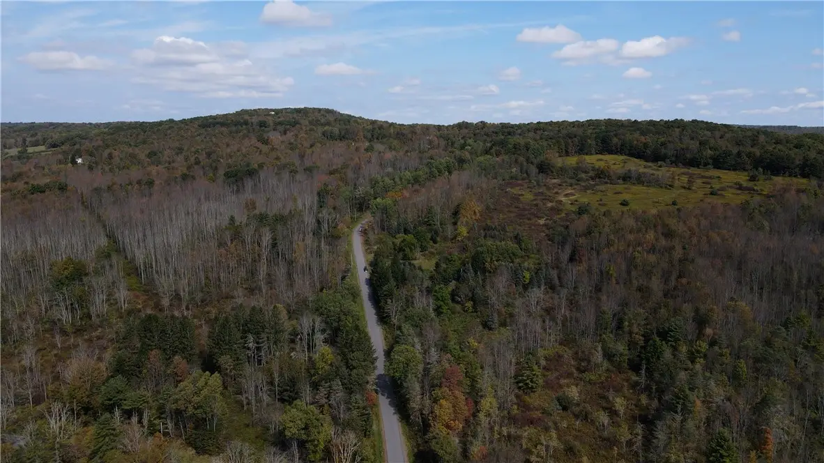 Lot 11 Sisson Hill Road, Unadilla, NY 13849 - #1
