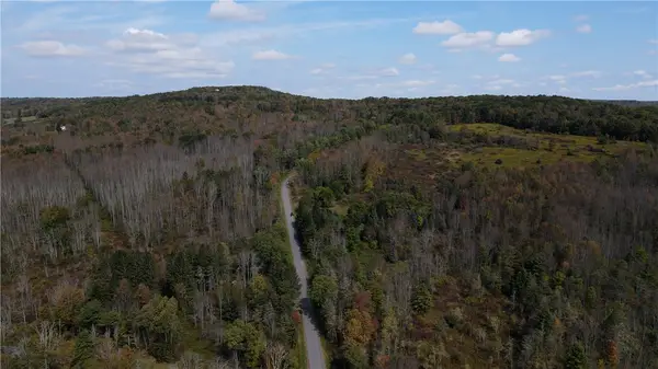 Lot 11 Sisson Hill Road, Unadilla, NY 13849