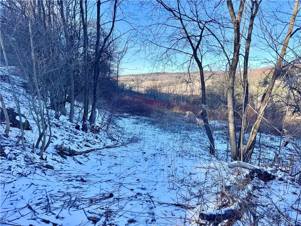 0 County Highway 6, Otego, NY 13825 - #1