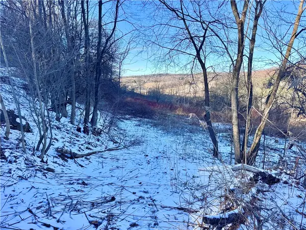 0 County Highway 6, Otego, NY 13825