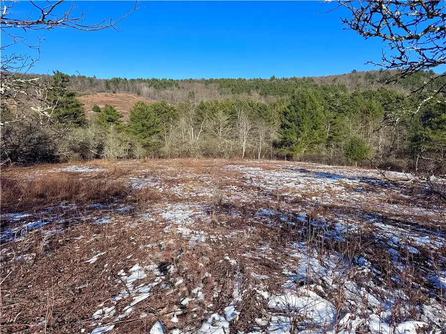 0 County Highway 6, Otego, NY 13825 - #2