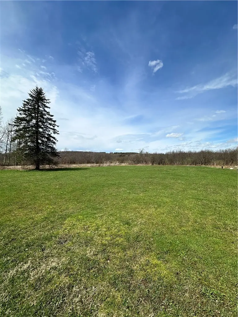 3239 Route 39, Bliss, NY 14024 - #2