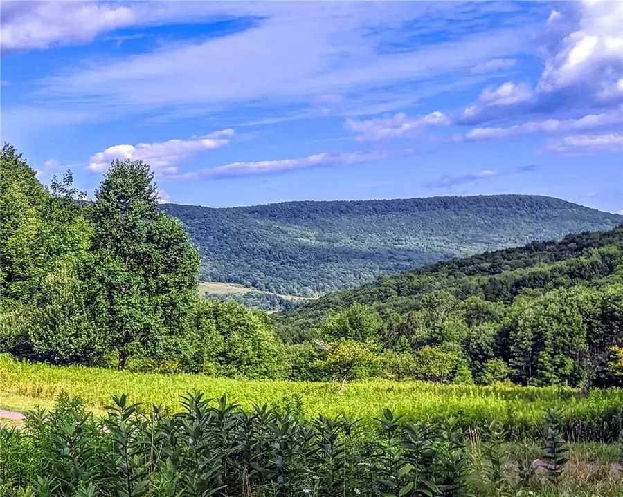 5180 County Highway 14, Treadwell, NY 13846 - #2