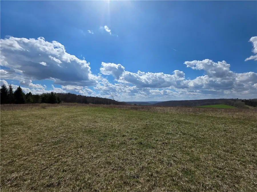 2542 Norton Hollow Road, Canisteo, NY 14823 - #2