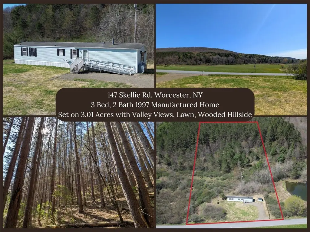 147 Skellie Road, Worcester, NY 12197 - #1