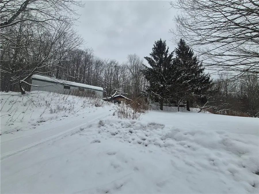 294 Will Warner Road, South Otselic, NY 13155 - #3