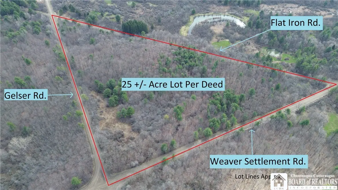 Flat Iron Road, Hunt, NY 14846 - #1