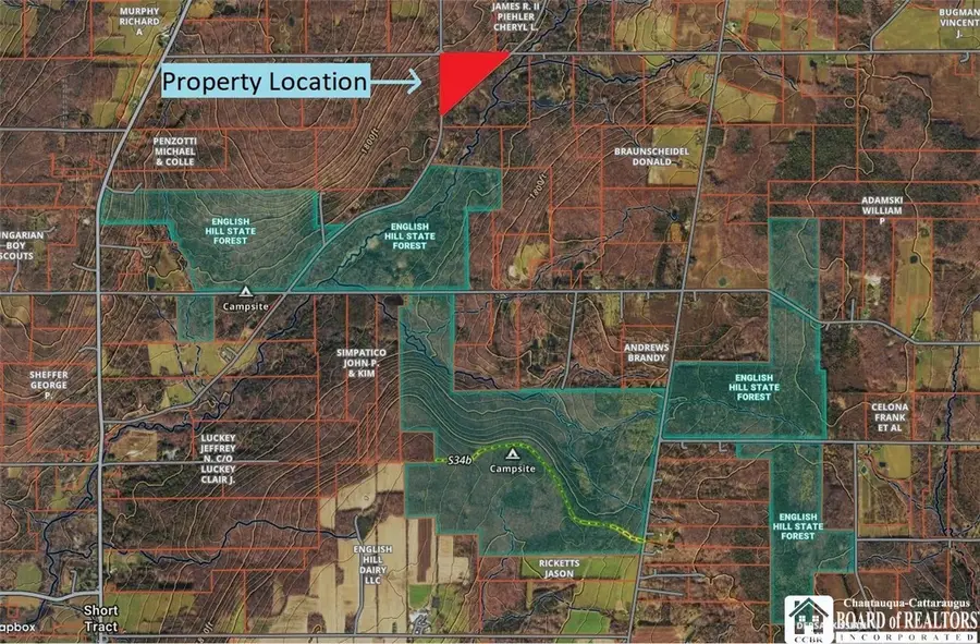 Flat Iron Road, Hunt, NY 14846 - #2