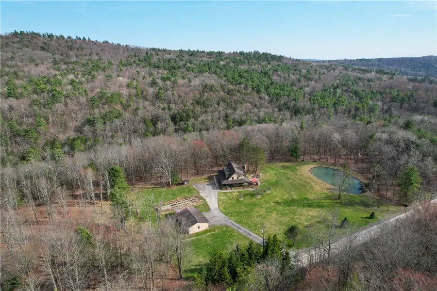 556 Benjamin Road, Cayuta, NY 14824 - #3