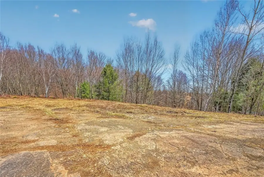 L25 Parker Schoolhouse Rd Extension, Davenport, NY 13750 - #2