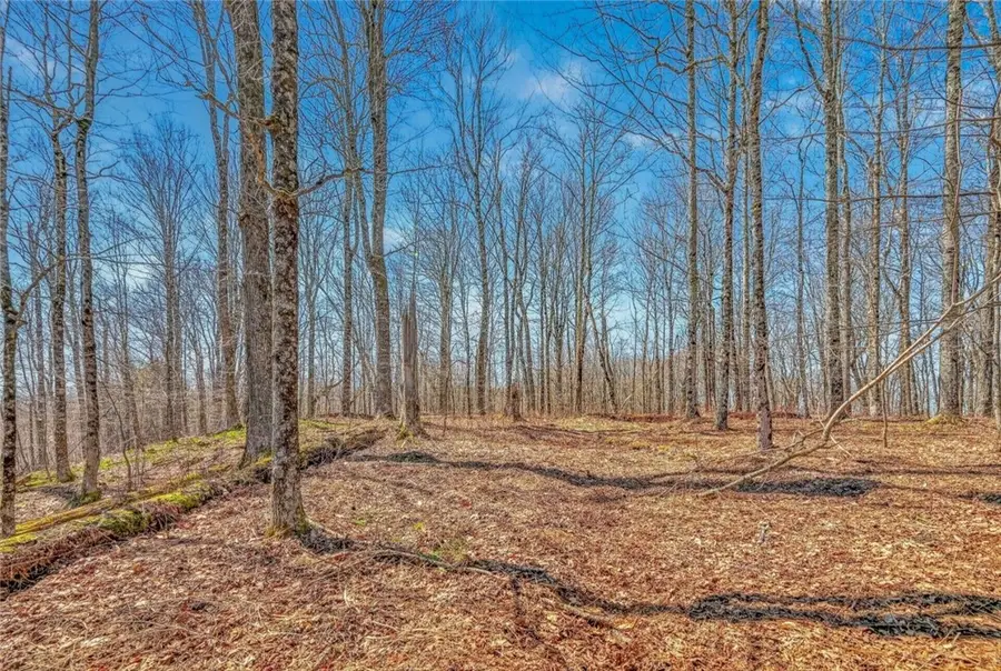 L25 Parker Schoolhouse Rd Extension, Davenport, NY 13750 - #3