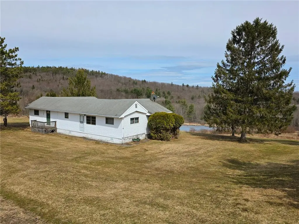 846 Butternut Road, Unadilla, NY 13849 - #1