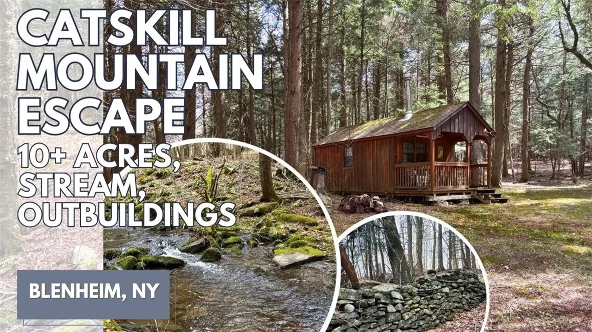 Lot 6.15 Little Beaver Creek Lane, Jefferson, NY 12093 - #1