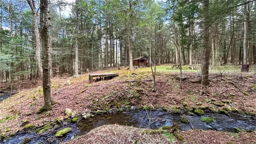 Lot 6.15 Little Beaver Creek Lane, Jefferson, NY 12093 - #2