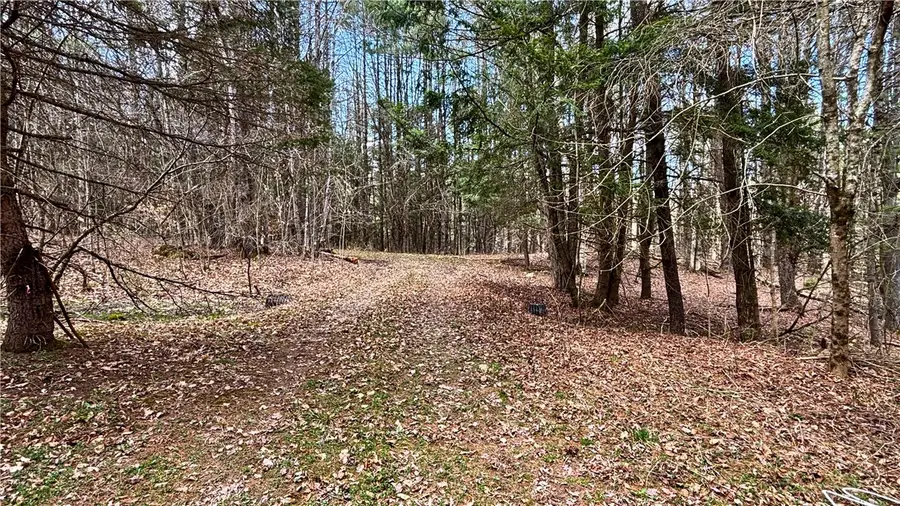 Lot 6.15 Little Beaver Creek Lane, Jefferson, NY 12093 - #3