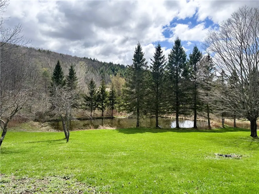 356 Honey Hill Road, Cherry Valley, NY 13320 - #2