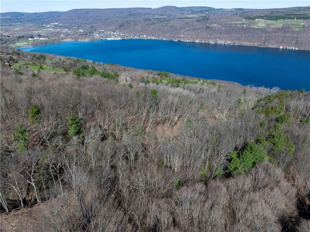 County Route 87 Road, Hammondsport, NY 14840 - #1