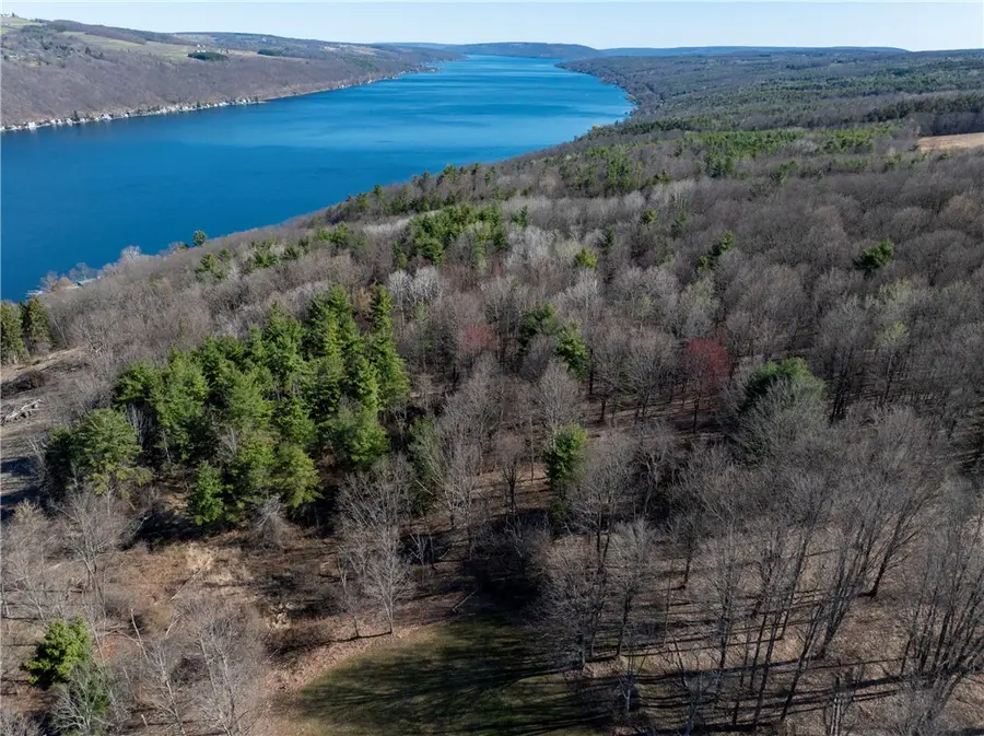 County Route 87 Road, Hammondsport, NY 14840 - #2