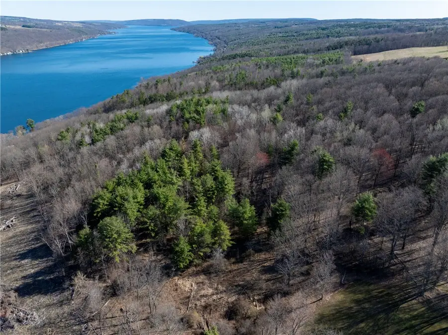 County Route 87 Road, Hammondsport, NY 14840 - #3