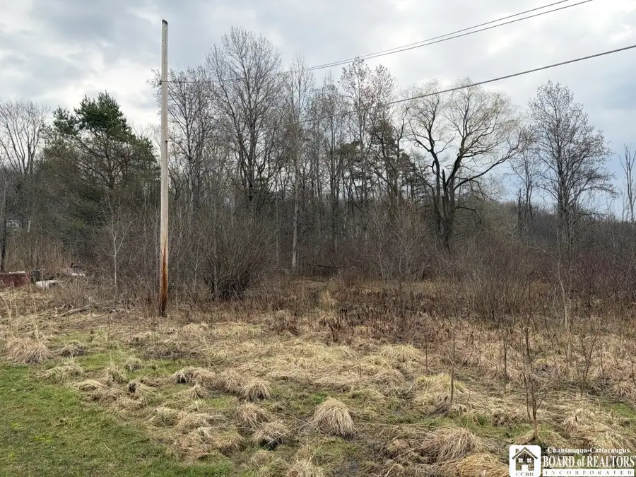 S Pearl Street, Frewsburg, NY 14738 - #2