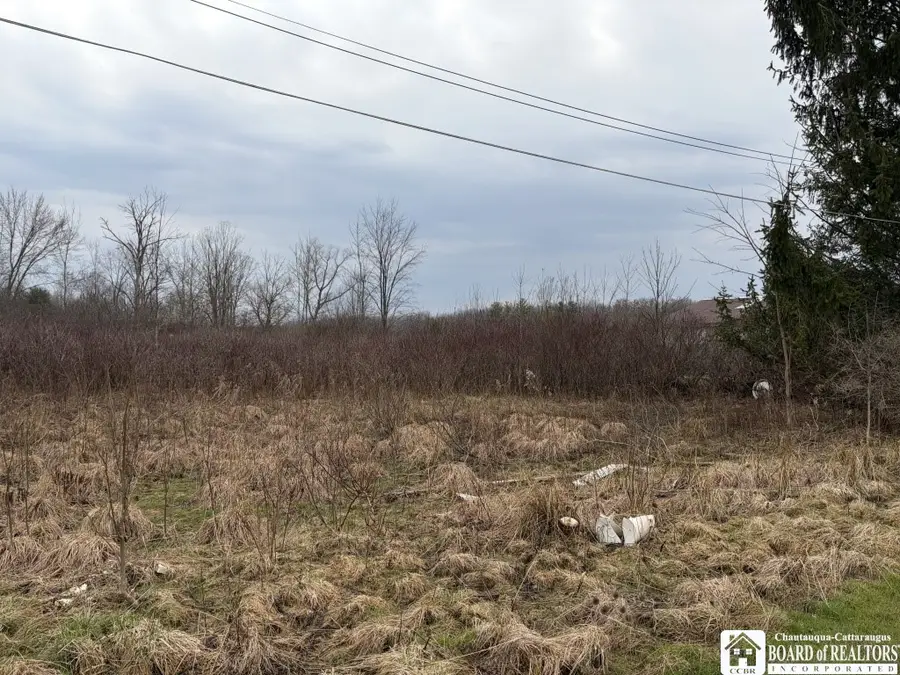 S Pearl Street, Frewsburg, NY 14738 - #3