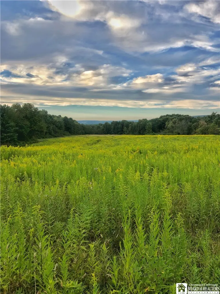 1004 Wigren Road, Frewsburg, NY 14738 - #2