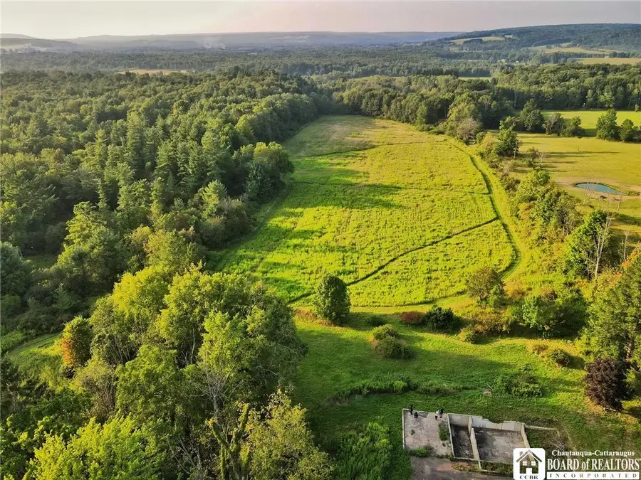 1004 Wigren Road, Frewsburg, NY 14738 - #3