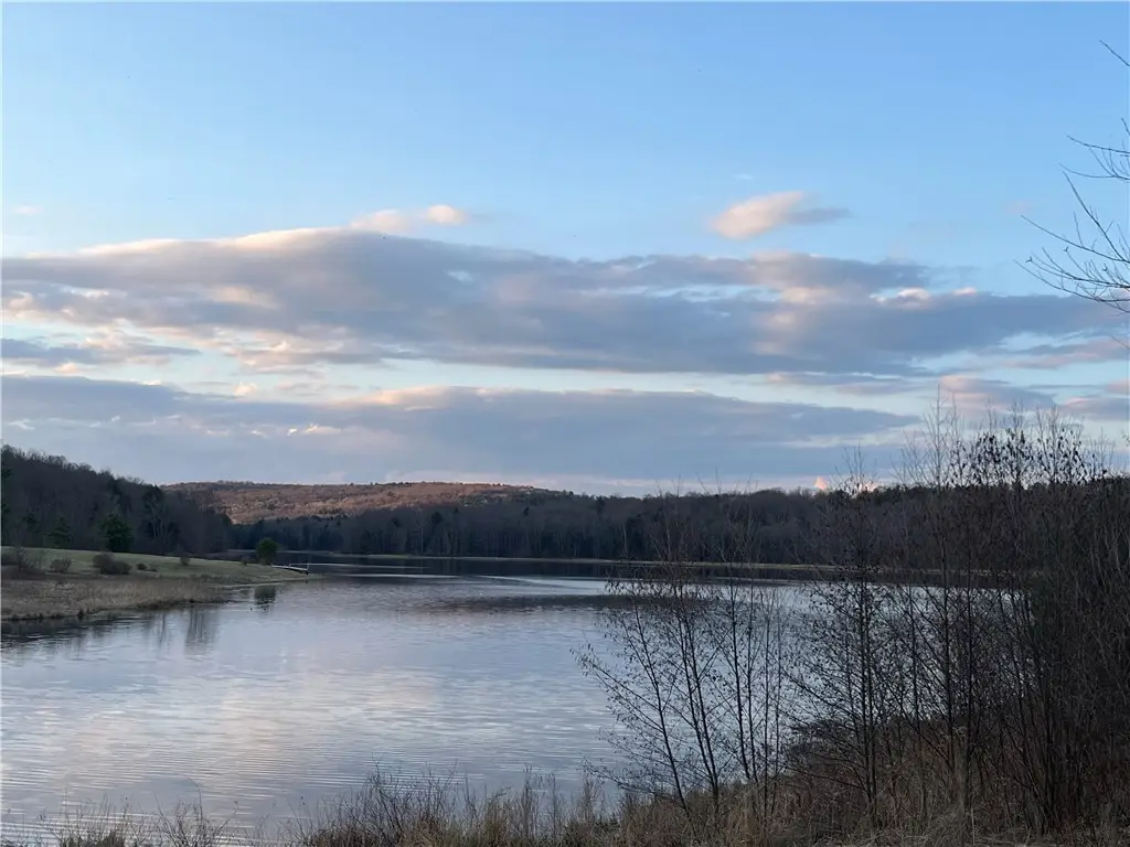 2367 Strawberry Lake Road N, Marathon, NY 13803 - #1