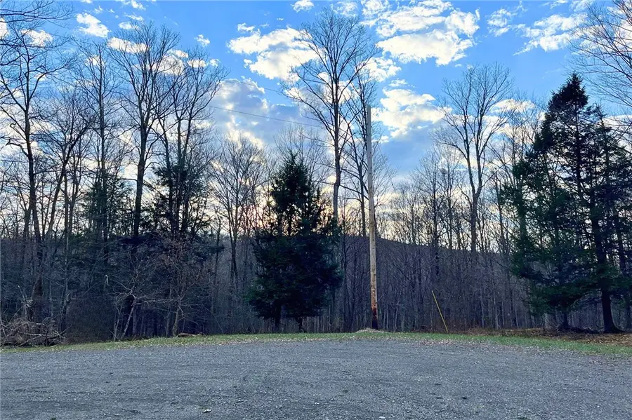 2367 Strawberry Lake Road N, Marathon, NY 13803 - #2