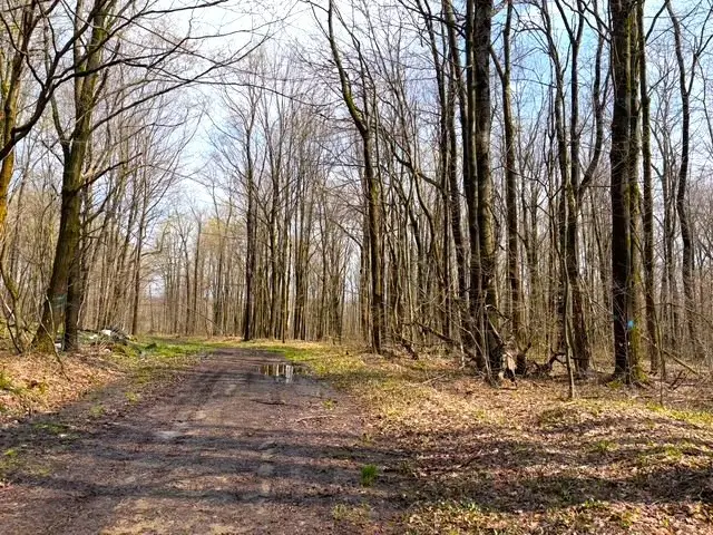 1700 28th Creek Road, Falconer, NY 14733 - #1