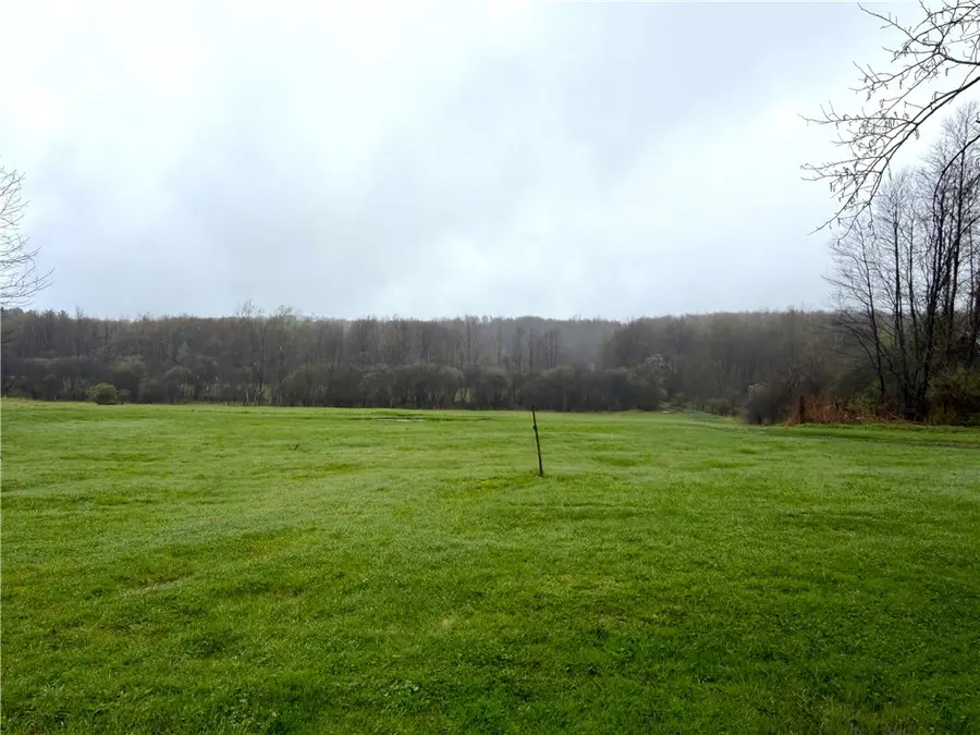 1700 28th Creek Road, Falconer, NY 14733 - #2