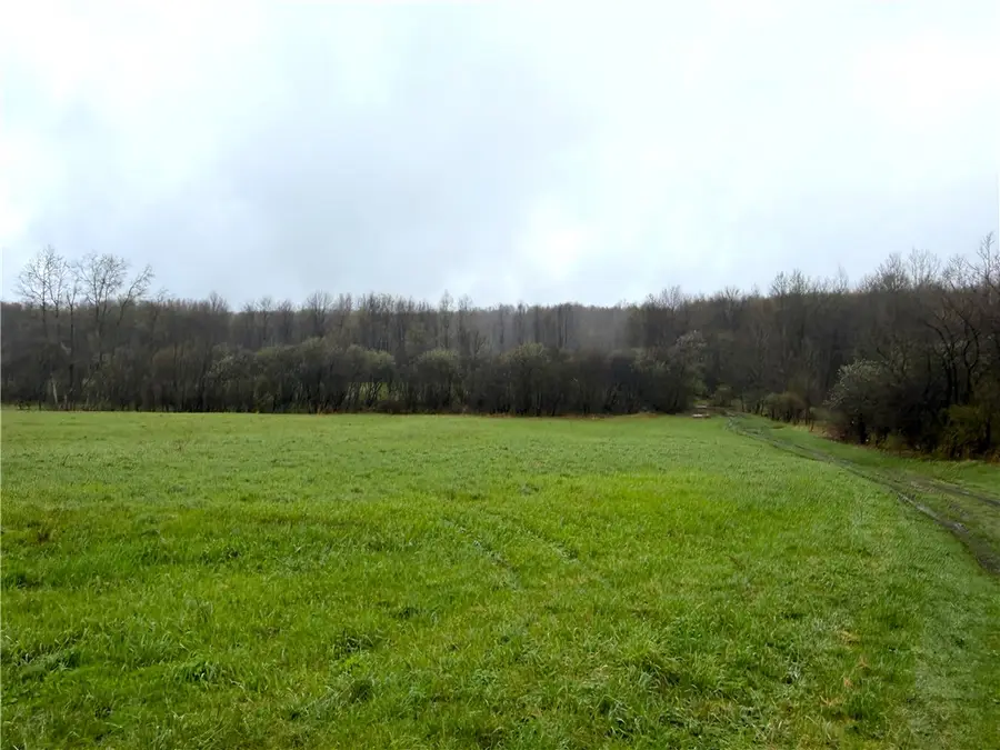 1700 28th Creek Road, Falconer, NY 14733 - #3