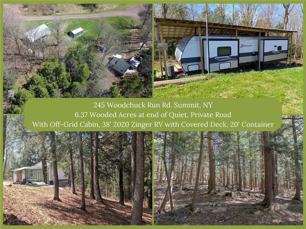 245 Woodchuck Run, Jefferson, NY 12093 - #1