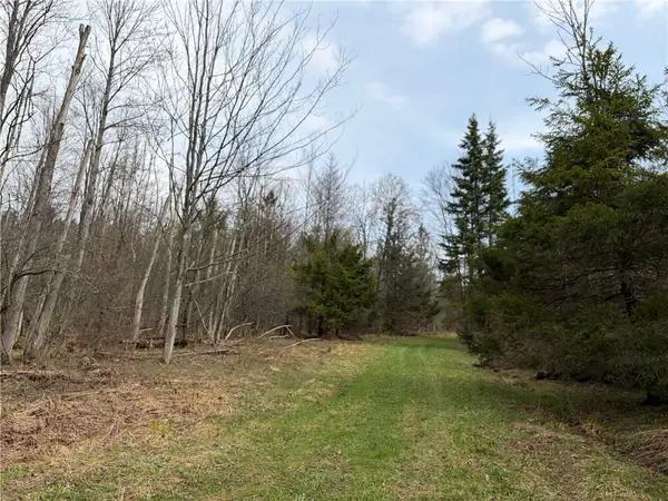 West Hill Road, Ellington, NY 14740