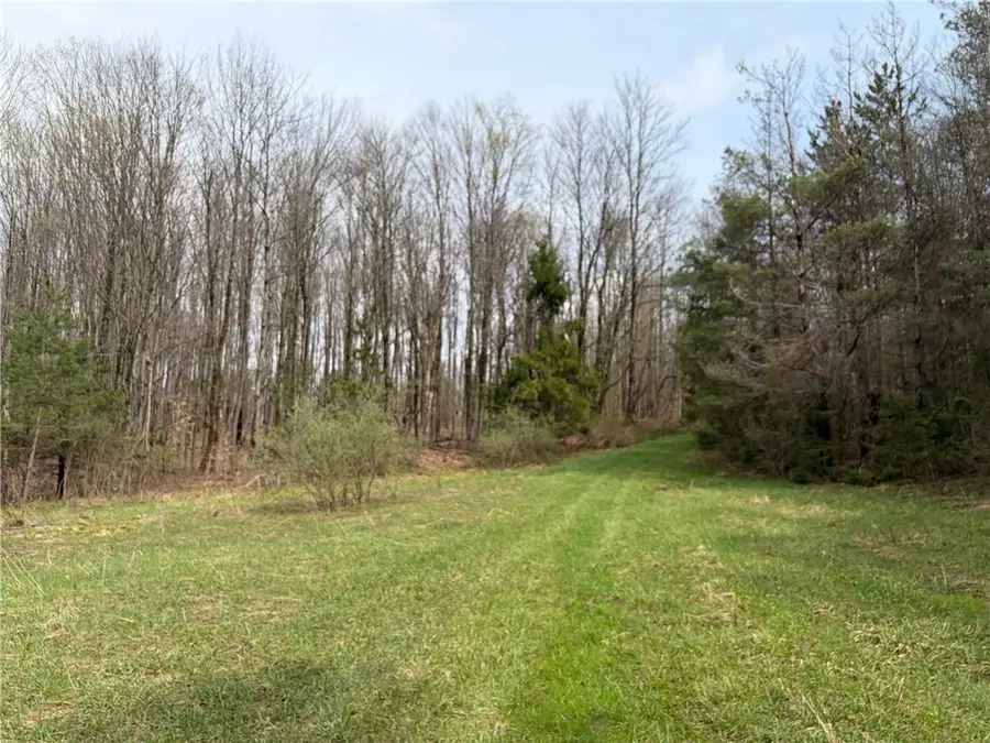 West Hill Road, Ellington, NY 14740 - #2