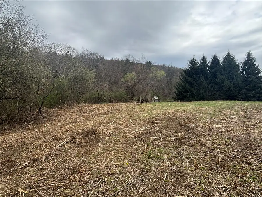 10212 State Route 36, Dansville, NY 14437 - #3