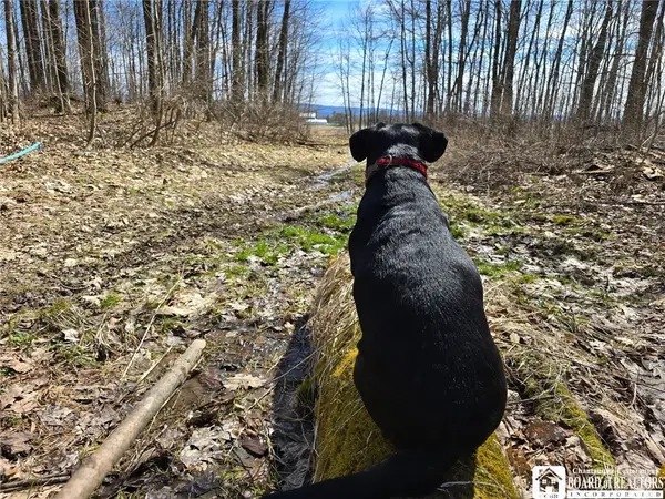 00 West Cobb Road, Falconer, NY 14733