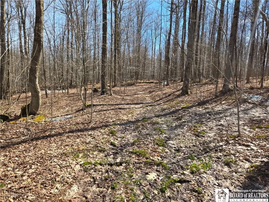 00 West Cobb Road, Falconer, NY 14733 - #2