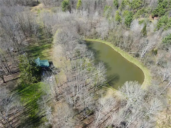 2856 Zimmer Road, Friendship, NY 14739