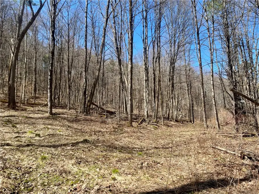 Chlorinator Road, Hartwick, NY 13807 - #3