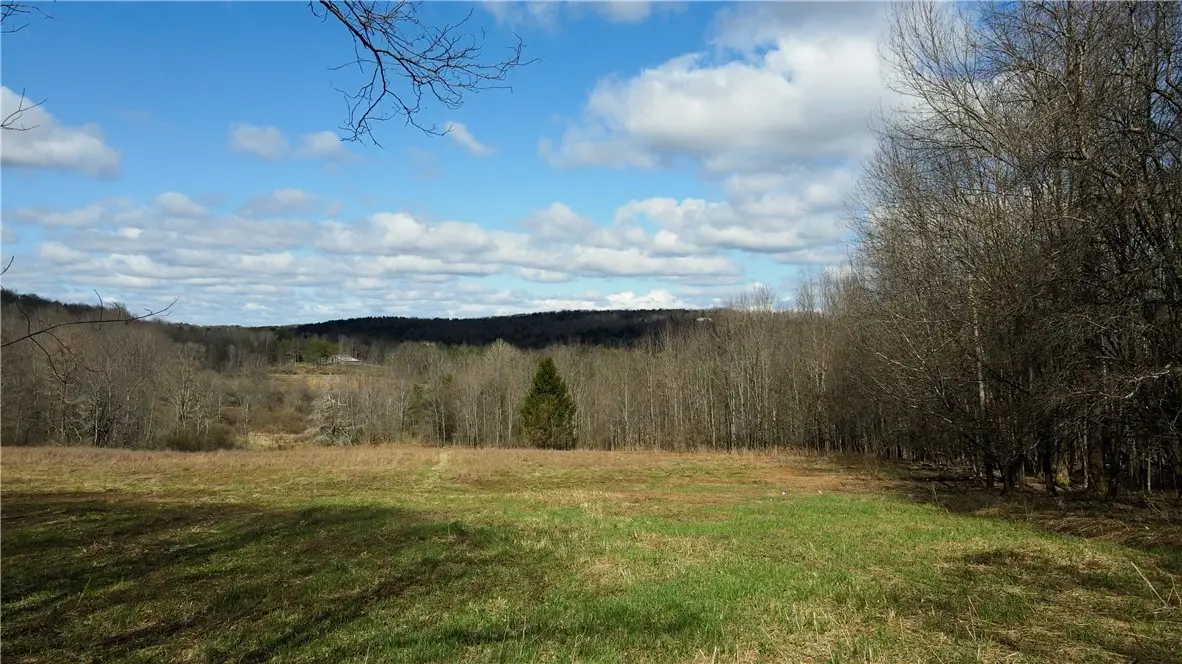 Ramey Road, Pittsfield, NY 13411 - #1