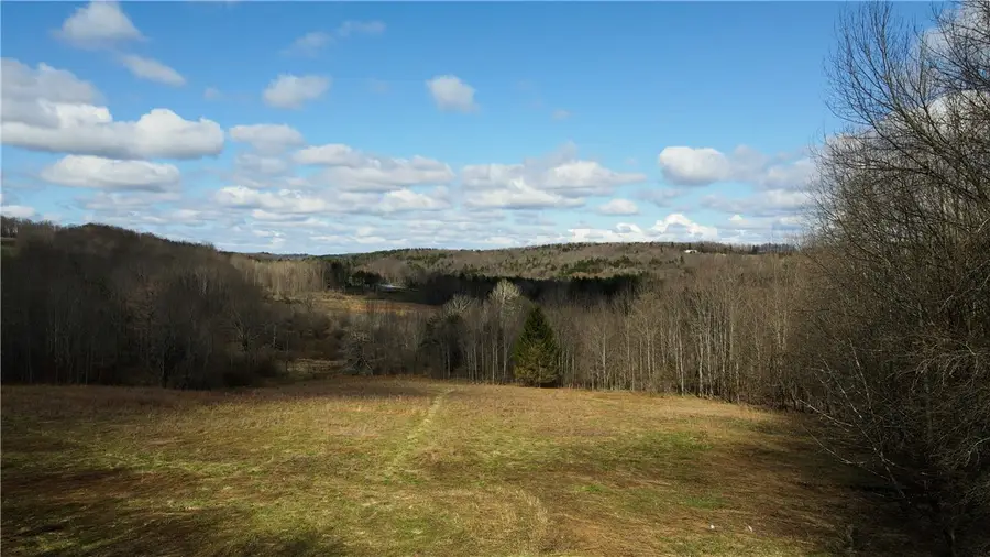 Ramey Road, Pittsfield, NY 13411 - #2