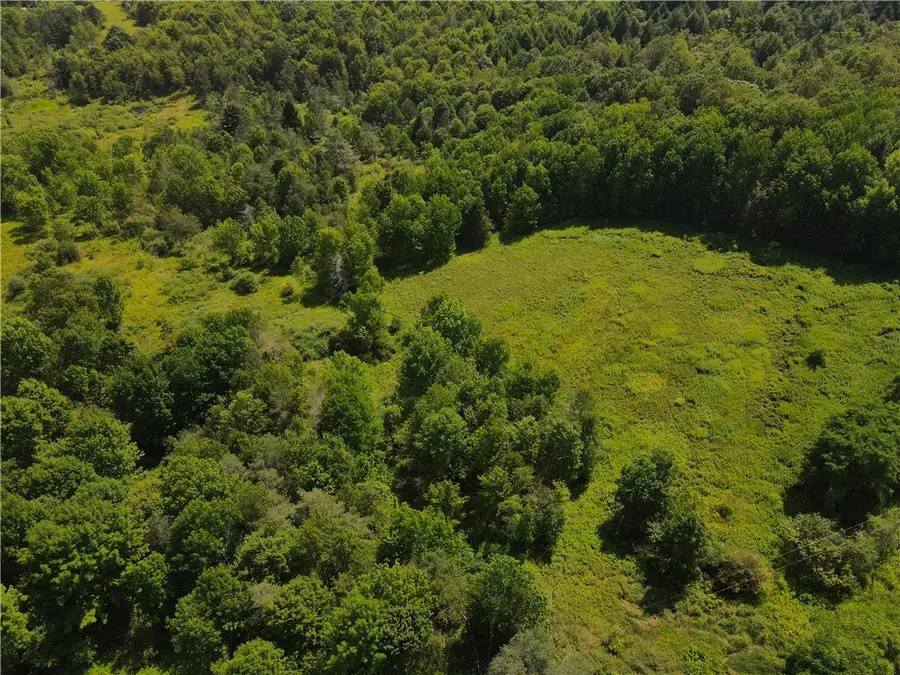 Ramey Road, Pittsfield, NY 13411 - #3