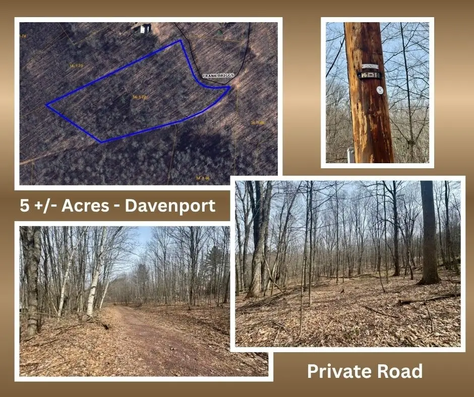 653 Frank Briggs Road, Oneonta, NY 13820 - #1