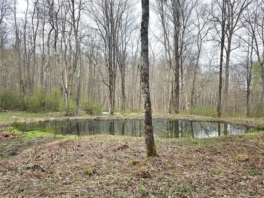 County Highway 52, Cooperstown, NY 13326 - #1