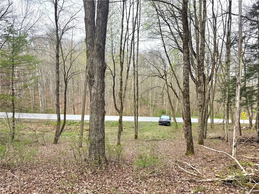 County Highway 52, Cooperstown, NY 13326 - #3